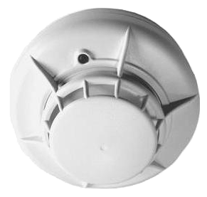 eco1004t