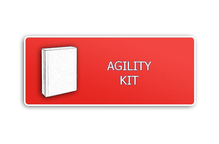 RISCO AGILITY - KIT